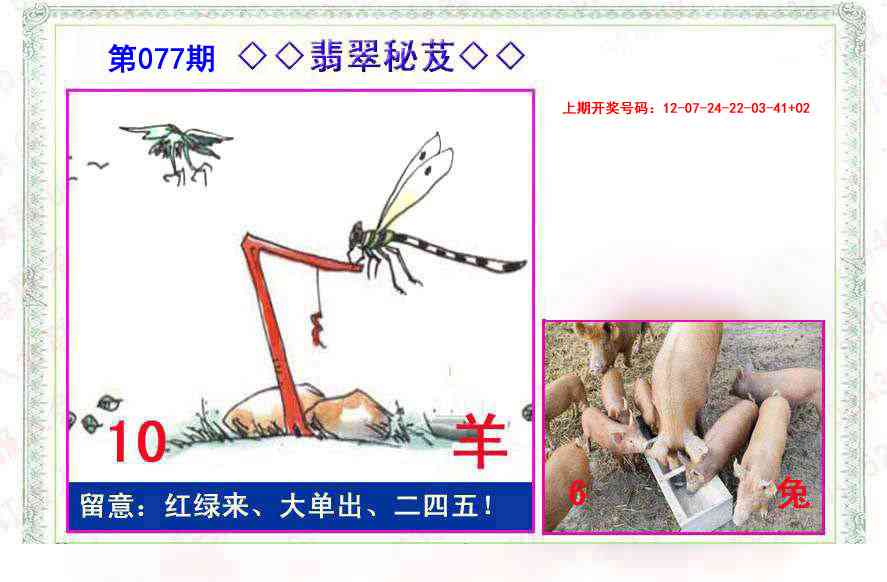 077期翡翠报[图]